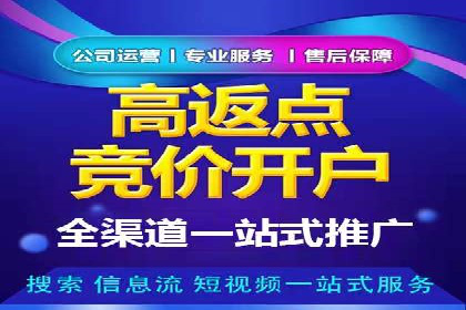 SEM竞价托管案例：提升广告效果的关键策略